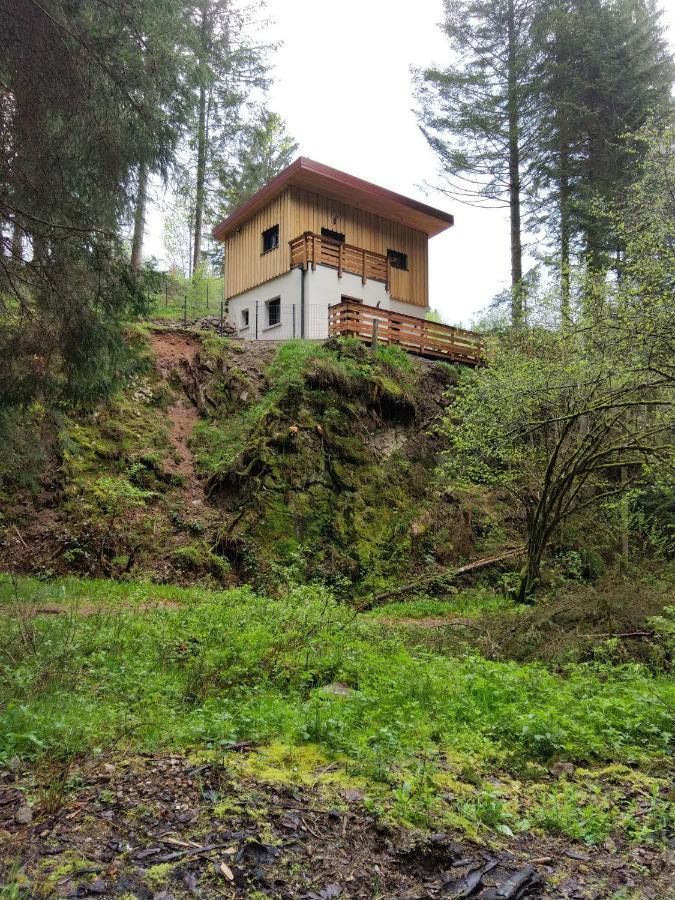 Le Refuge Perche Du Saut De La Bourrique Spa, Terrain Cloture Gérardmer Εξωτερικό φωτογραφία