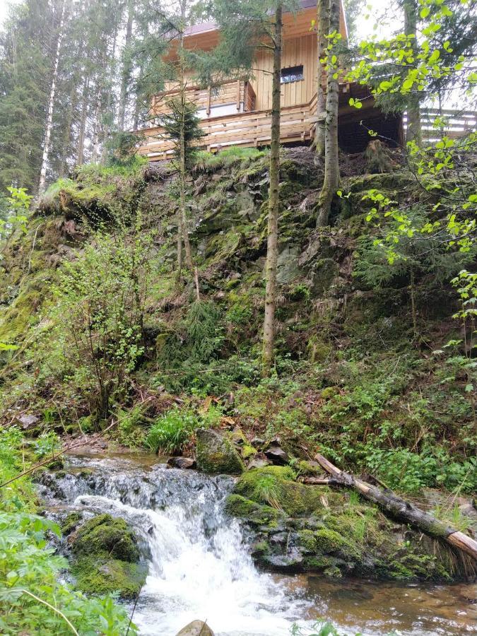 Le Refuge Perche Du Saut De La Bourrique Spa, Terrain Cloture Gérardmer Εξωτερικό φωτογραφία