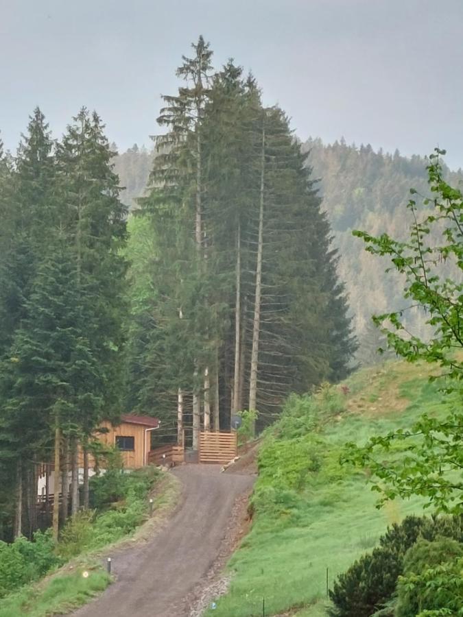 Le Refuge Perche Du Saut De La Bourrique Spa, Terrain Cloture Gérardmer Εξωτερικό φωτογραφία