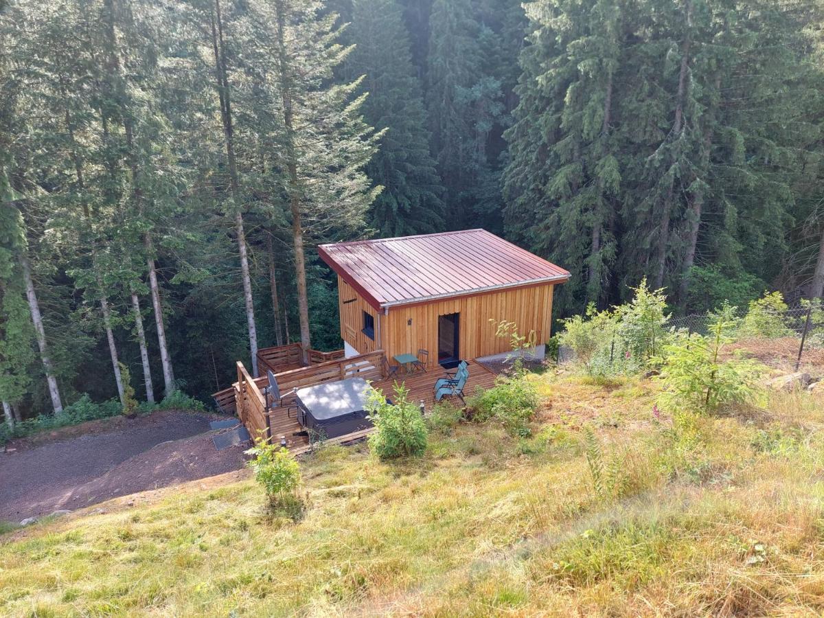 Le Refuge Perche Du Saut De La Bourrique Spa, Terrain Cloture Gérardmer Εξωτερικό φωτογραφία