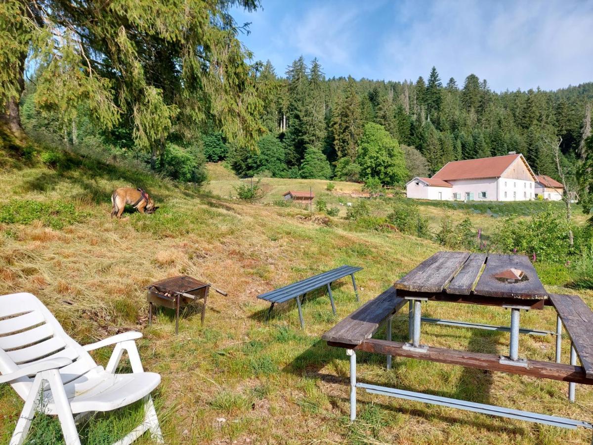 Le Refuge Perche Du Saut De La Bourrique Spa, Terrain Cloture Gérardmer Εξωτερικό φωτογραφία